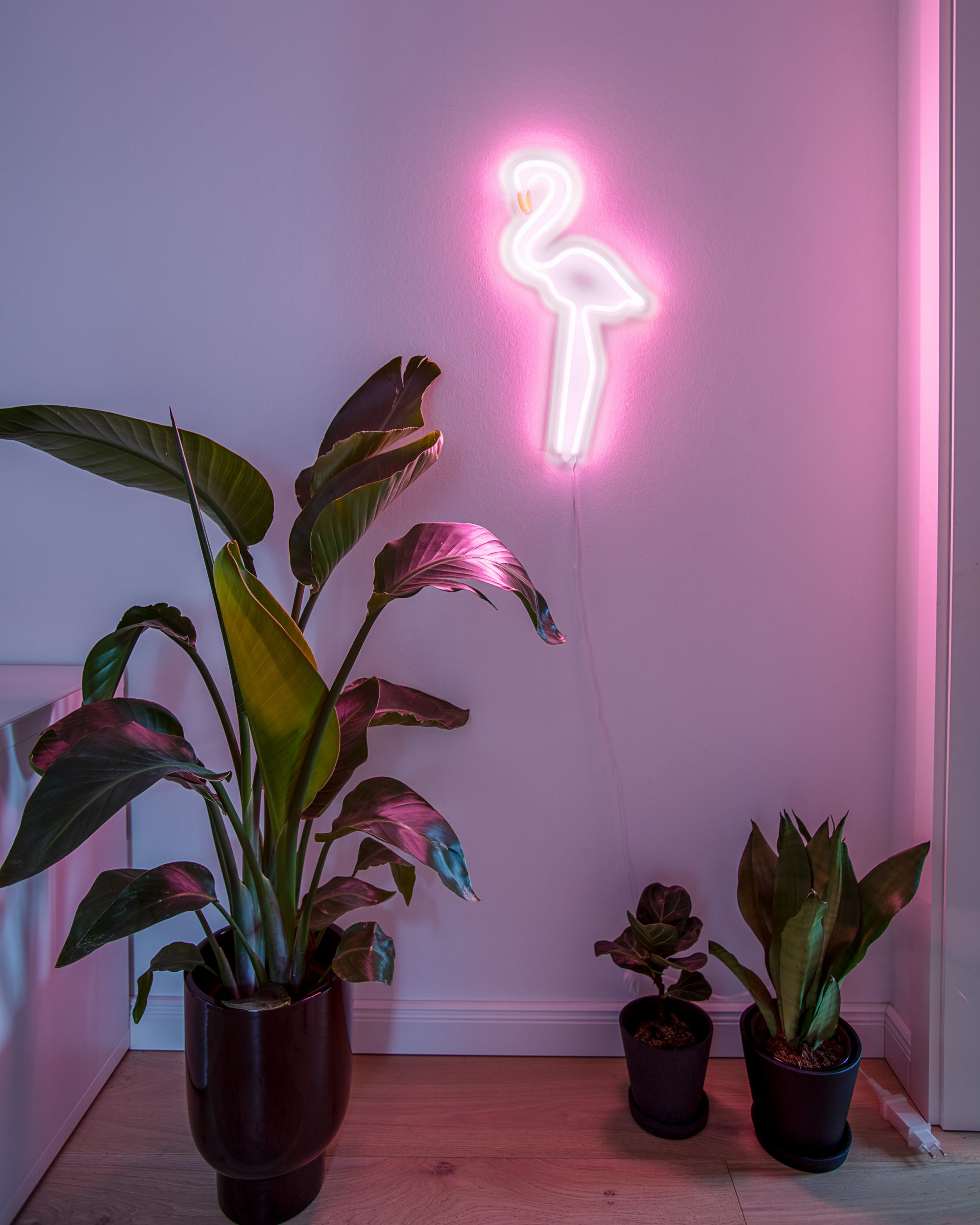 Nicole Wiesner – Interior-Design