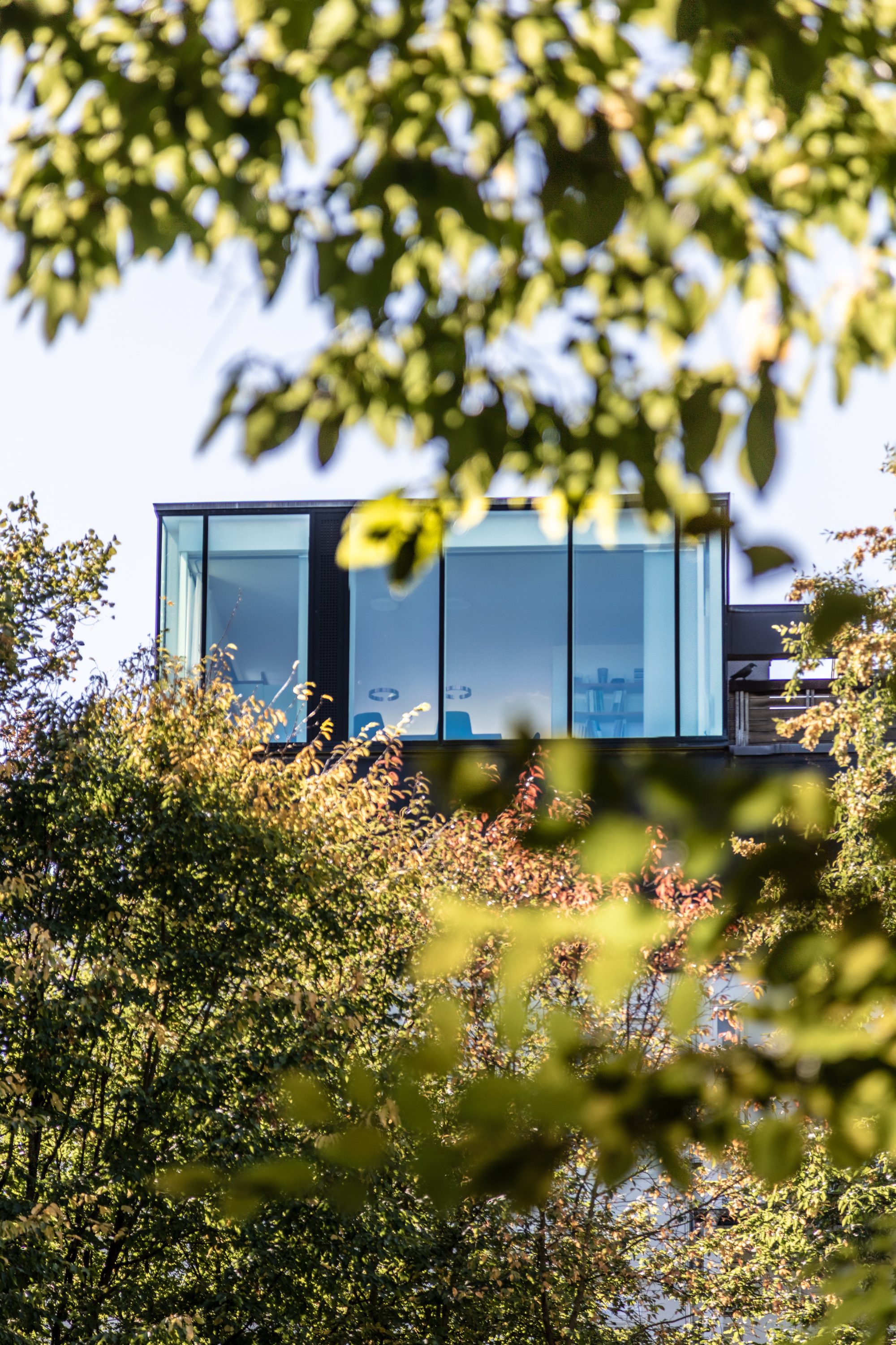 Verglaster Dachaufbau des Penthouses zwischen Baumkronen, vom Straßenraum aus gesehen.